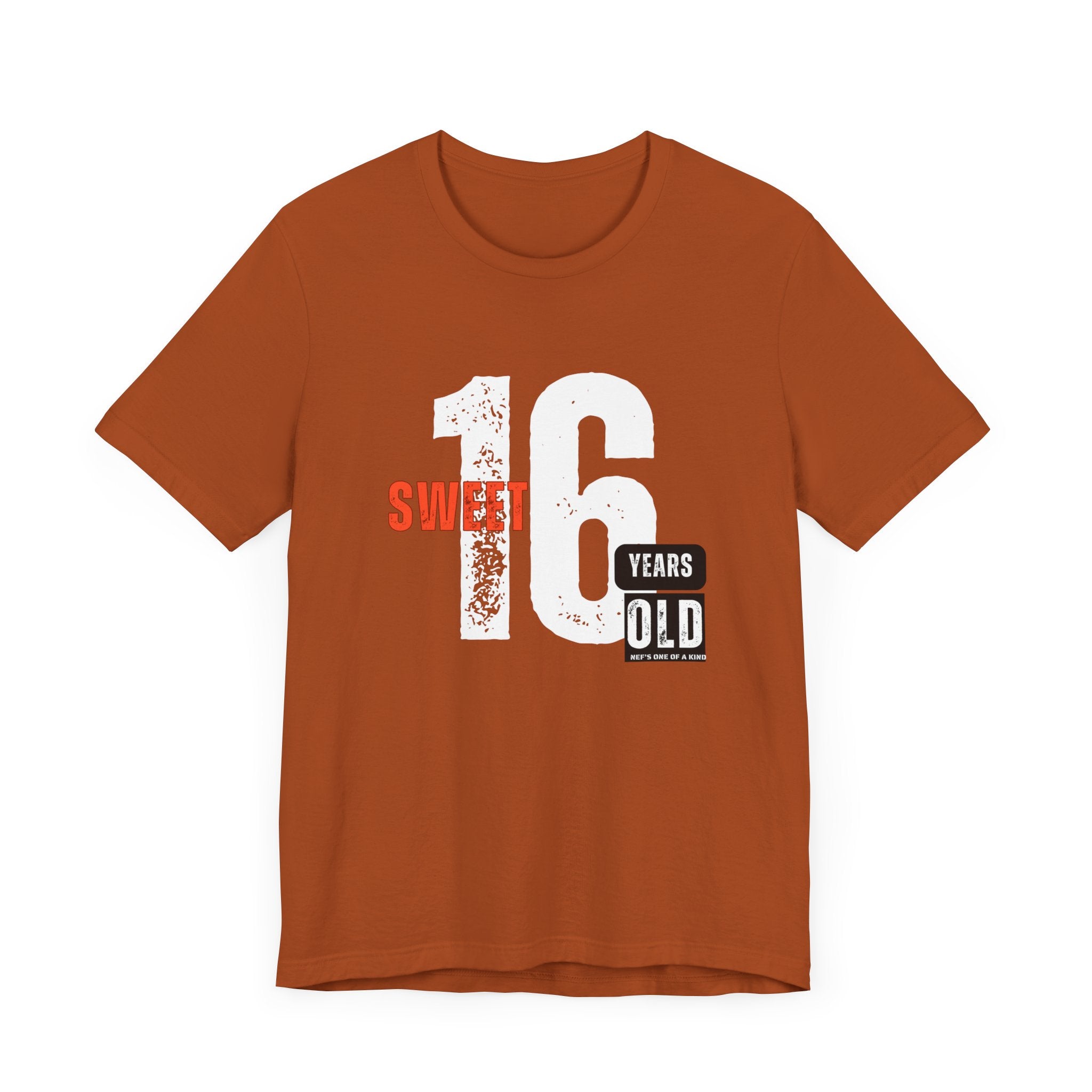 16year Old Unisex Adult Tee